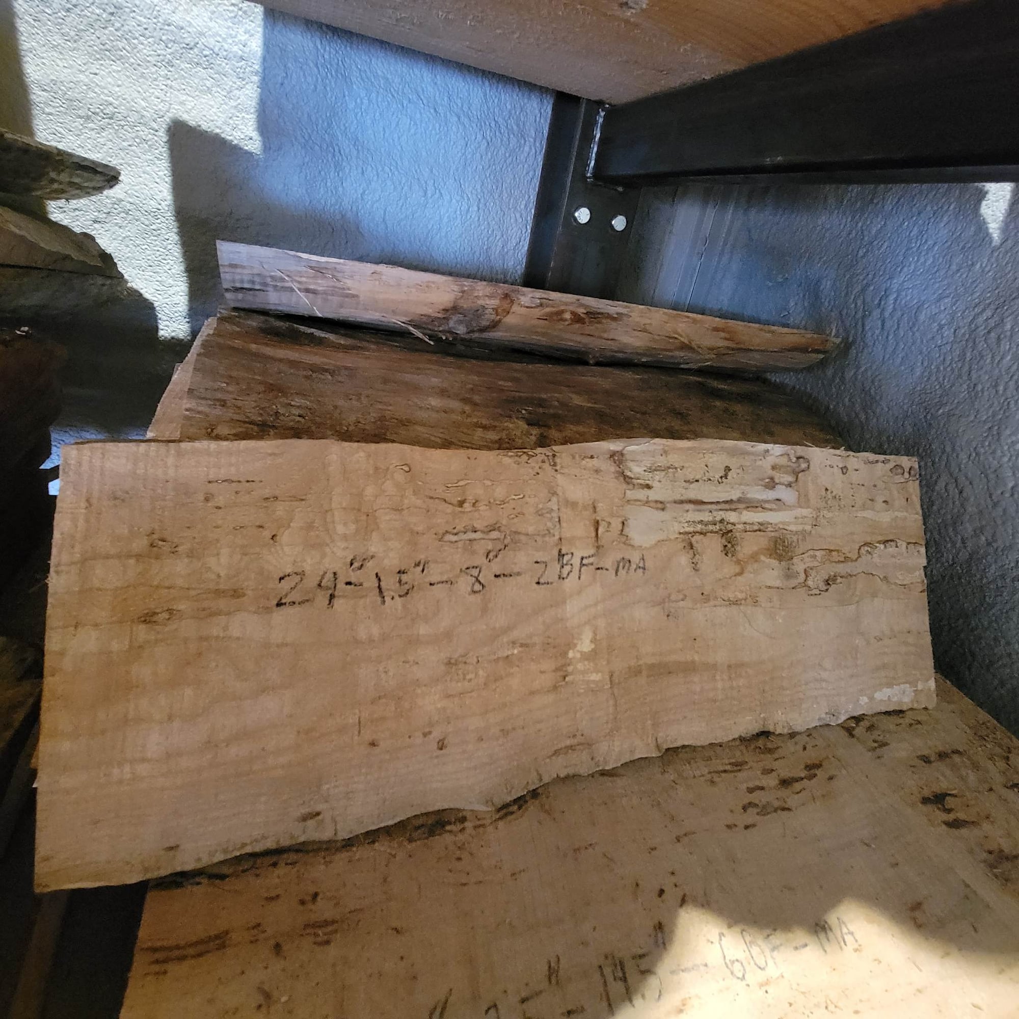 Big Leaf Maple